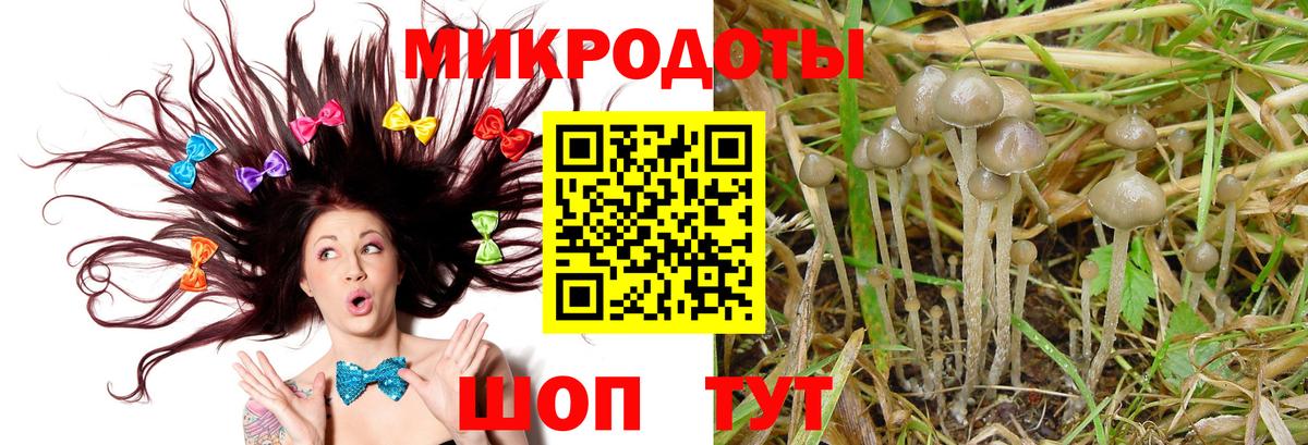 Галлюциногенные грибы прущие грибы Саров