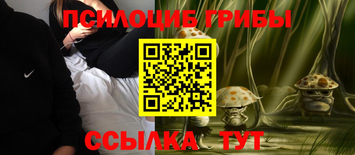 Галлюциногенные грибы GOLDEN TEACHER  Галлюциногенные грибы ЛСД  Вход с VPN  Саров 