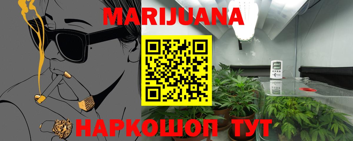 Шишки марихуана Bruce Banner  Бошки Шишки планчик  Саров  Вход с VPN  Бошки Шишки семена 